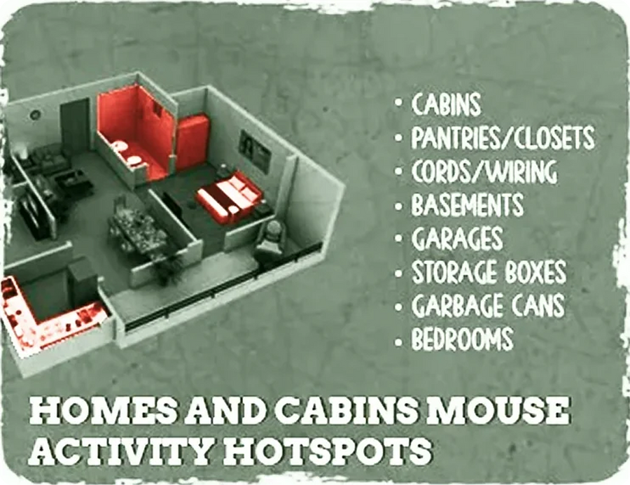 Homes and cabins mouse activity hotspots