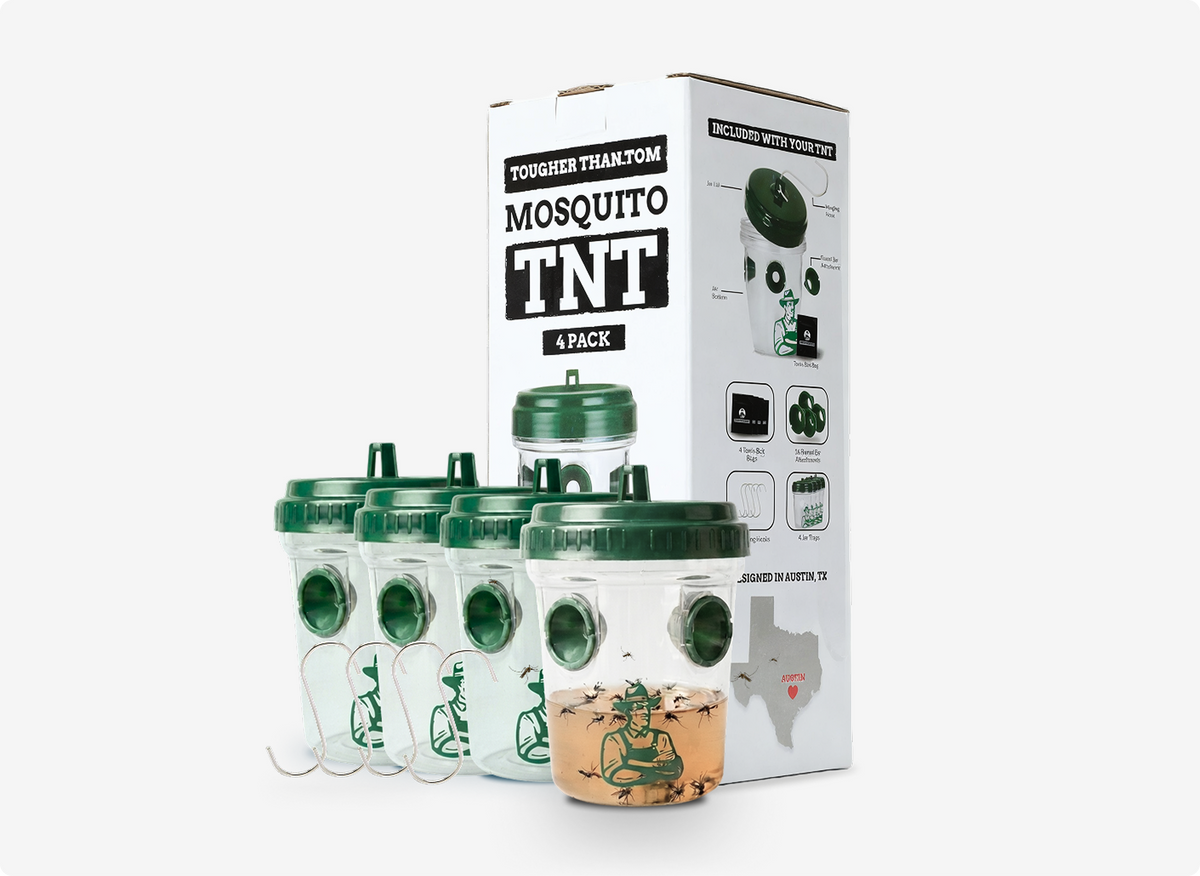 Mosquito TNT 2.0 (Mosquito)