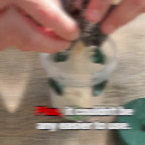 Drop in the Bait