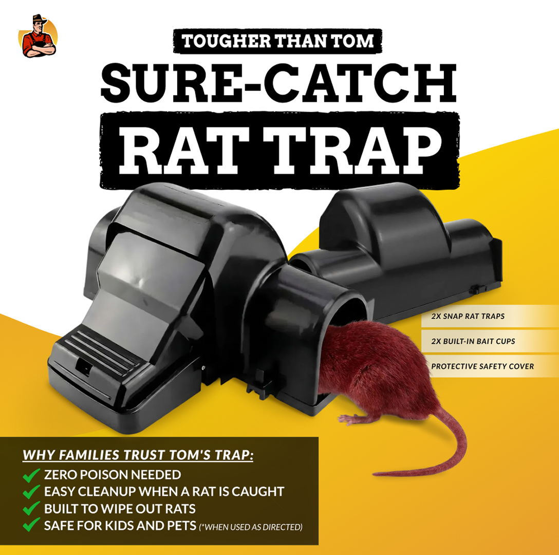Sure-Catch Rat Trap