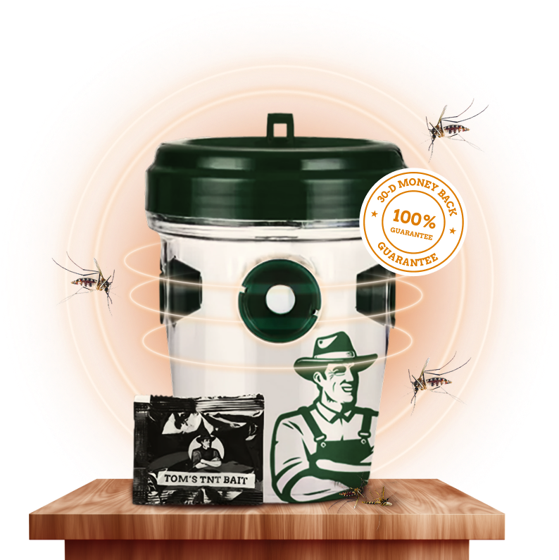 Mosquito Tnt Tougher Than Tom