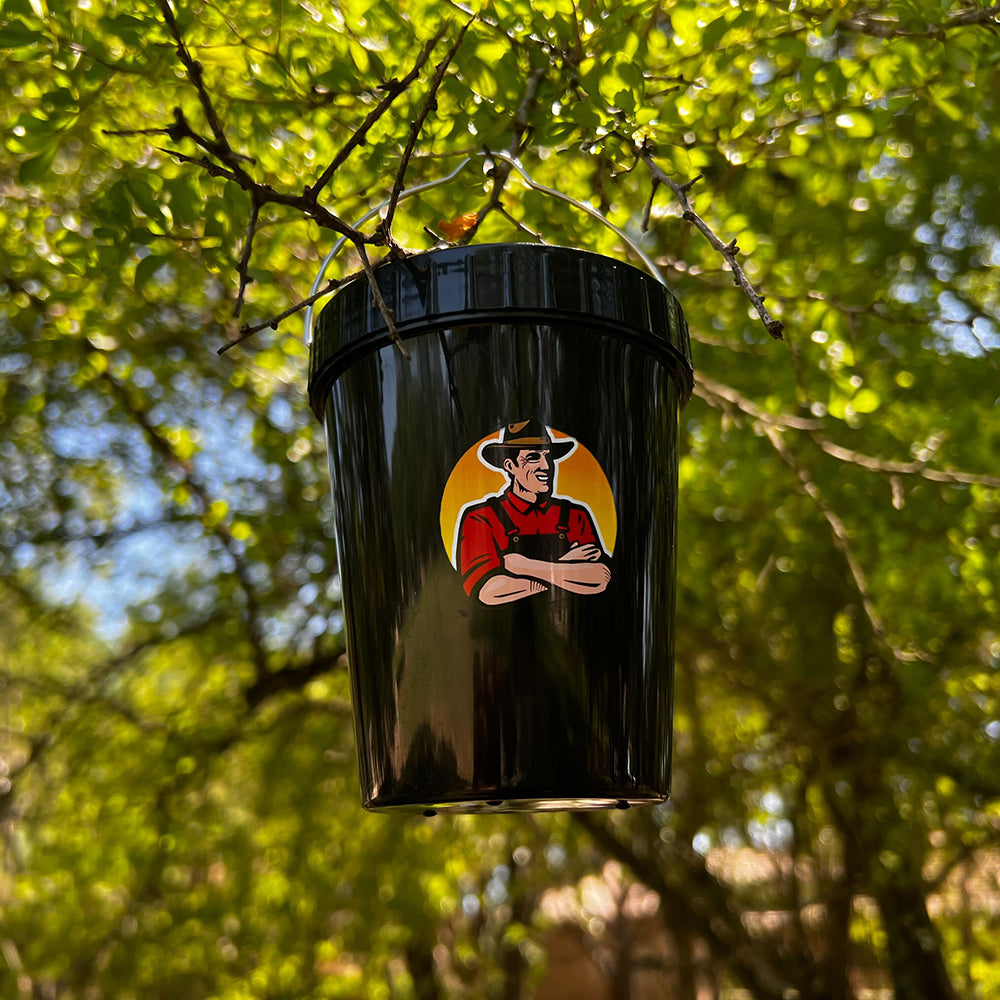 Mosquito Control Device