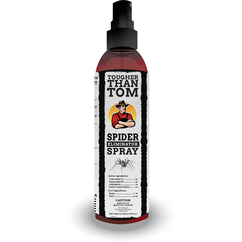 Spider spray deals